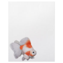 Ryukin Goldfish Letterhead
