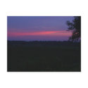 S3010038 postcards by allie77cat S3010038 postcards
