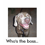 S5030845, Who's the boss.. Tshirts