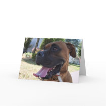 S8001434, Thank You cards by Mom2kenic S8001434, Thank You cards