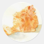 S.D. the Cat Stickers