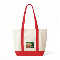 S.F._conservatory flower, bag