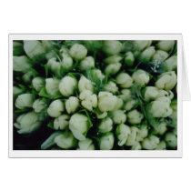 S.F. Flower Mart cards by christellewiggins S.F. Flower Mart cards
