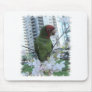 S.F. Wild parrot Mouse Pad