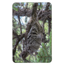 S Flaming Gorge Utah Fauna Birds Aves Animals Rectangular Magnets