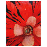 (s)Frilly Red Poppy flyers