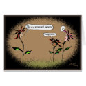 (S)lightly dyslexic cards by despking (S)lightly dyslexic cards