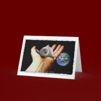 S.O.S. SAVE OUR HARP SEALS cards