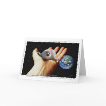 S.O.S. SAVE OUR HARP SEALS cards by RavenSpiritPrints S.O.S. SAVE OUR HARP SEALS cards