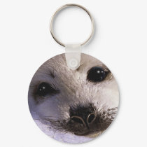 S.O.S. SAVE OUR HARP SEALS keychains by RavenSpiritPrints S.O.S. SAVE OUR HARP SEALS keychains
