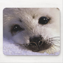 S.O.S. SAVE OUR HARP SEALS mousepads