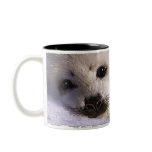 S.O.S. SAVE OUR HARP SEALS mugs