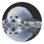 S.O.S. SAVE OUR HARP SEALS STICKER