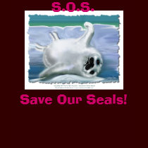 "S.O.S. ~ Save Our Seals!" T-shirts & Hoodies by RavenSpiritPrints "S.O.S. ~ Save Our Seals!" T-shirts & Hoodies