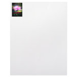 S-PA070049z Personalized Letterhead