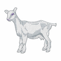 Saanen Goat