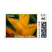 SABA: Heliconia caribbaea postage
