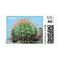 SABA: Melocactus intortus Postage