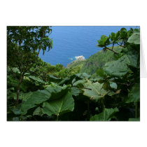 SABA: Sandy Cruz Trail cards