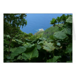 SABA: Sandy Cruz Trail cards