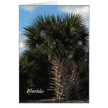 Sabal Palms, Florida Greeting Card