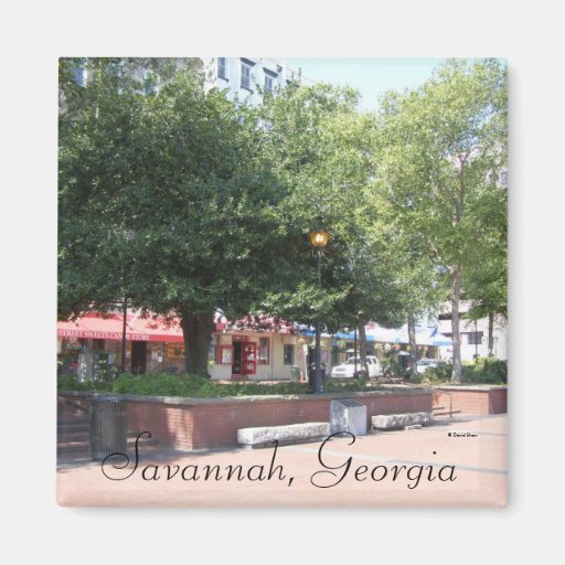 Sabana, Georgia Imán De Frigorifico