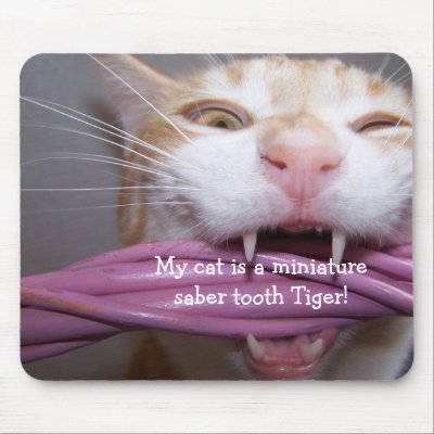 My cat is a miniature saber tooth tiger Mousepad