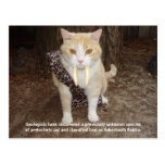 Sabertooth Bubba Post Cards