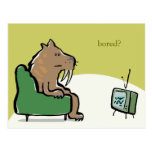sabertooth cat watching TV Post Cards