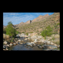 Sabino Canyon Evening posters