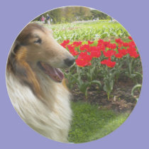 Sable Collie N Red Tulips Plate plates