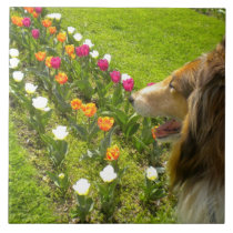 Sable Collie N Tulips Tile Trivet tiles