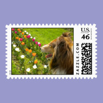 Sable Collie & the Tulips Postage stamps