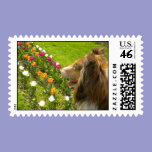 Sable Collie & the Tulips Postage postage