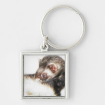 Sable Ferret Picture Key Chain