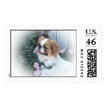 Sable Japanese Chin postage