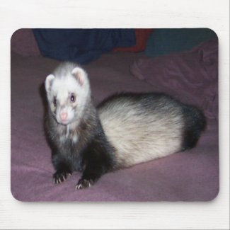 Sable Point Ferret Mousepad mousepad