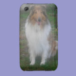 Sable Rough Collie iPhone 3 Case casemate cases