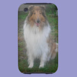 Sable Rough Collie iPhone 3 Case casemate cases