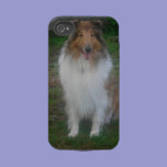 Sable Rough Collie iPhone 4 Case casemate cases