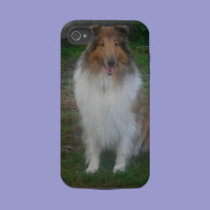 Sable Rough Collie iPhone 4 Case casemate cases