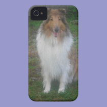 Sable Rough Collie iPhone 4 Case casemate cases