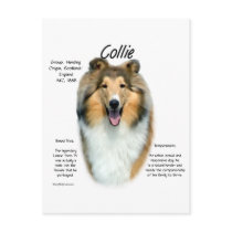 Sable Rough Collie Meet the Breed postcards