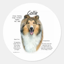 Sable Rough Collie Meet the Breed - Sticker
