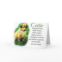 Sable Rough Collie Puppy Gifts cards