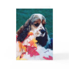 postcard - Sable/White Champion Cocker Spaniel greeting card by, Karen Mac Auley