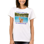 Sabliere Pool, I survived a winter in the U.S. ... t-shirts