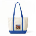 SAC Deux Azawakhs bags