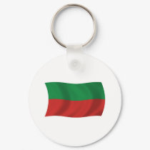 Sac & Fox Nation (Iowa) Flag Keychain