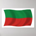 Sac &amp; Fox Nation (Iowa) Flag Poster Print